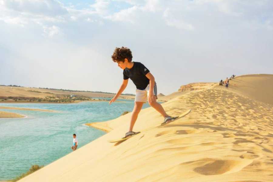 Tour to Whales Valley and Wadi El Rayan Waterfalls in El Fayoum from Cairo