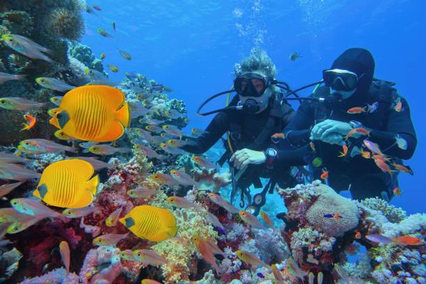 Marsa Alam